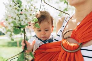 madre llevar un infantil bebé en envolver honda en parque. primavera. concepto de natural paternidad foto