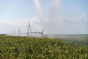 Irrigation System Watering Crops on Farm Field. photo