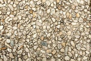 Pebble stone floor tile seamless background. Cement mixed gravel pebble stone floor texture. Wet round pebble stone rock floor in dramatic lighting. photo