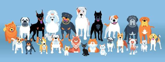 Set of dogs flat design vector