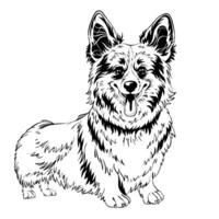 vector bosquejo perro galés corgi sonriente