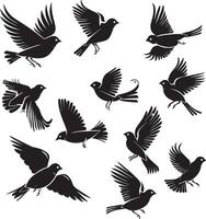 Flying birds silhouettes on white background vector