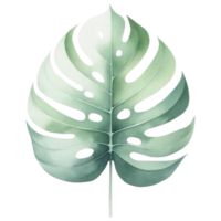 ai genererad tropisk monstera blad vattenfärg illustration. png