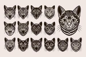 AI generated Front view of hand drawn meowing british shorthair cat design bundle vector