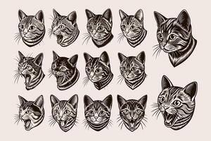 AI generated Pack of british shorthair cat tshirt design vector