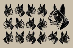 AI generated Illustration of side view drawing boston terrier dog head design bundle vector