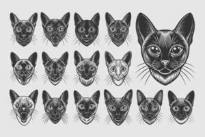 AI generated Cute burmese cat head tshirt illustration design bundle vector