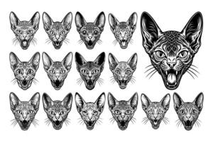 AI generated Collection of meowing devon rex cat head illustration vector