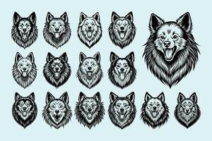 AI generated Front view barking american eskimo dog face design template set vector