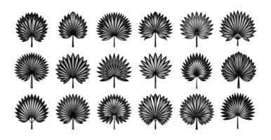 AI generated Set of flat engraving fan palm leaf illustration design vector