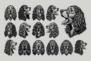 AI generated Set of english cocker spaniel dog head illustration design vector