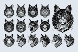 AI generated Bundle of detailed ragamuffin cat head illustration design vector