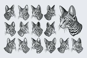 ai generado perfil lado ver dibujo ocicat cabeza ilustración diseño conjunto vector