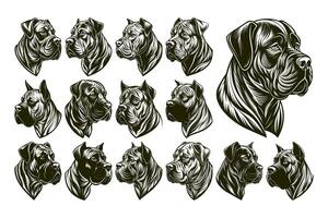 AI generated Side view of detailed bullmastiff dog head illustration design set vector