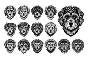 AI generated Illustration of Maltipoo dog head tshirt design bundle vector