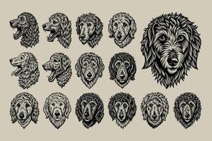 AI generated Hand drawn goldendoodle dog face vector design bundle