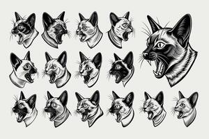 AI generated Bundle of hand drawn side view tonkinese cat head design vector