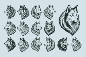 AI generated Tshirt illustration of Samoyed dog head design bundle vector