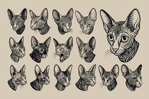 AI generated Tshirt illustration of cornish rex cat head from side design set vector