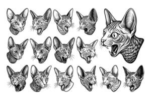 AI generated Realistic side view devon rex cat face portrait illustration design set vector