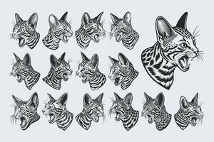 AI generated Hand drawn meowing ocicat pet head in side view illustration design bundle vector