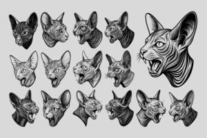 AI generated Set of hand drawing meowing sphynx cat head in side view design vector