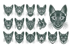 AI generated Portrait of havana brown cat face illustration design set vector