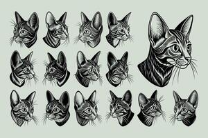 AI generated Side view hand drawn abyssinian cat head tshirt design set vector