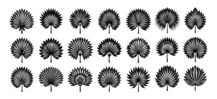 AI generated Hand drawn detailed fan palm leaf silhouette design set vector
