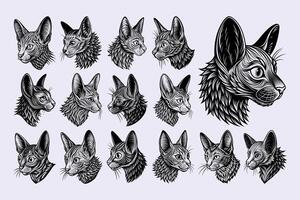AI generated Side view of drawing lykoi cat head illustration design bundle vector