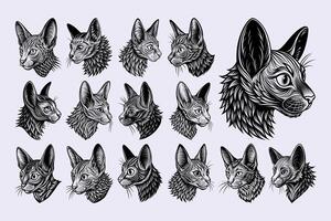 AI generated Side view of drawing lykoi cat head illustration design bundle vector