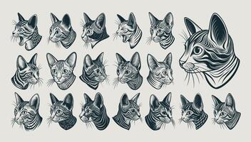 AI generated Bundle of beautiful side view singapura cat head illustration design vector