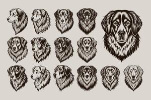 AI generated Set of detailed great pyrenees dog face sticker illustration design vector