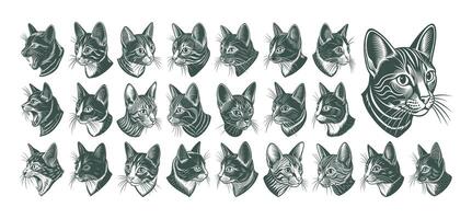 AI generated Side view of havana brown cat head illustration design bundle vector