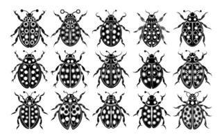 AI generated Hand drawn lady bug silhouette design vector set