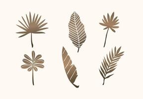 brown dry tropical leaf illustration design vector