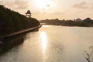 Walking trails along the river and an observation deck in the morning photo