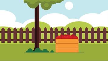 garden with a tree and box full of apples vector illustration