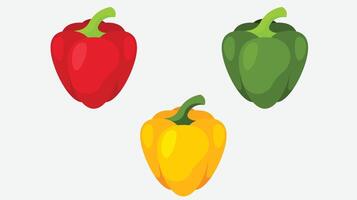 colorful pepper vegtables vector illustration