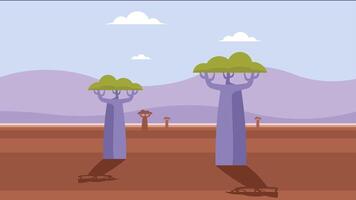 baobab trees in the african safari environment vector