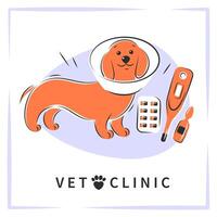 Veterinarian clinic or hospital for animals. Dogs treatment. Medicine for pets. Vector background