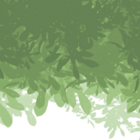 leaves blowing in the wind, Leafs, L leaves falling. png