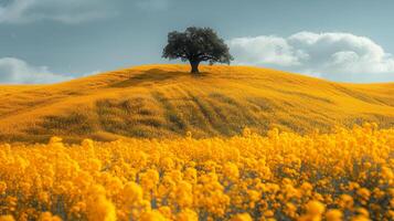 ai generado solitario árbol en campo de amarillo flores foto