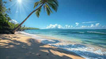 ai generado sombra de un palma árbol en un playa foto