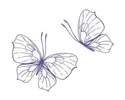 Delicate butterflies with patterns on the wings, simple, sweet, light, romantic. Illustration graphically hand-drawn in lilac ink in line style. Set of isolated EPS vector objects