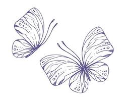 delicado mariposas con patrones en el alas, simple, dulce, luz, romántico. ilustración gráficamente dibujado a mano en lila tinta en línea estilo. conjunto de aislado eps vector objetos