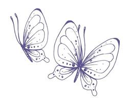 delicado mariposas con patrones en el alas, simple, dulce, luz, romántico. ilustración gráficamente dibujado a mano en lila tinta en línea estilo. conjunto de aislado eps vector objetos