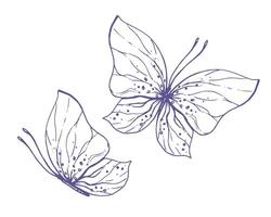 Delicate butterflies with patterns on the wings, simple, sweet, light, romantic. Illustration graphically hand-drawn in lilac ink in line style. Set of isolated EPS vector objects