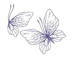 Delicate butterflies with patterns on the wings, simple, sweet, light, romantic. Illustration graphically hand-drawn in lilac ink in line style. Set of isolated EPS vector objects