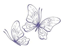 Delicate butterflies with patterns on the wings, simple, sweet, light, romantic. Illustration graphically hand-drawn in lilac ink in line style. Set of isolated EPS vector objects